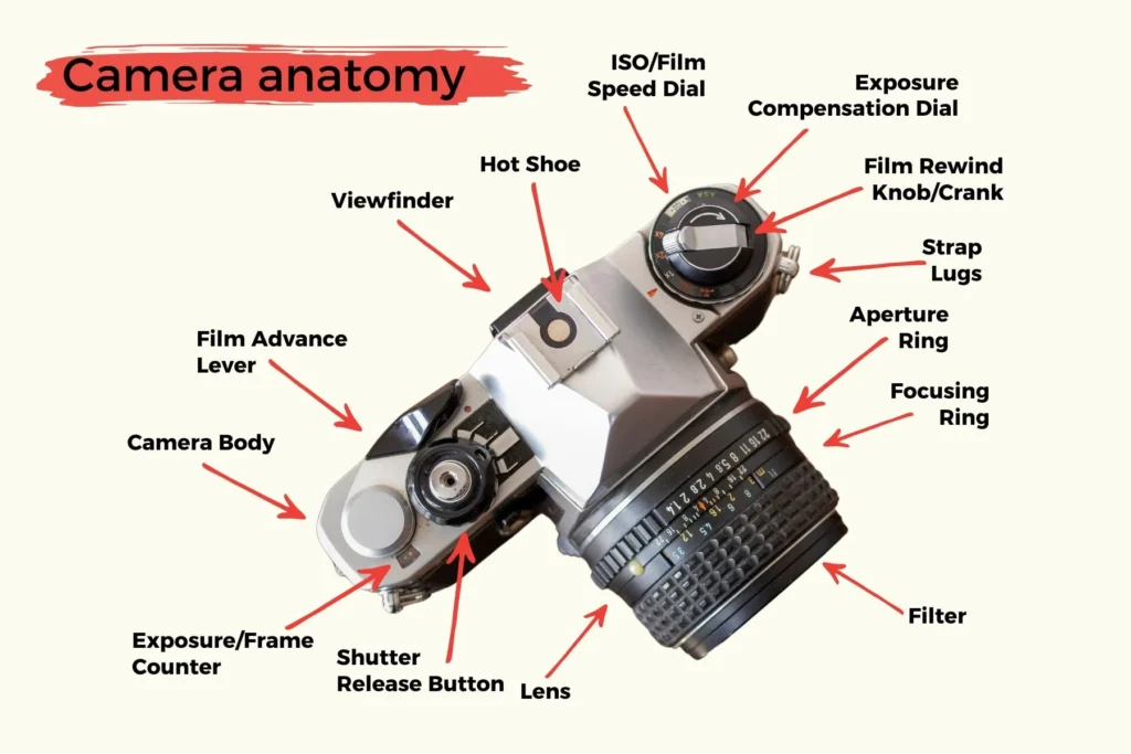 Extra Features to Consider in Film Cameras