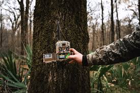 Tips for Using Cellular Trail Cameras Effectively